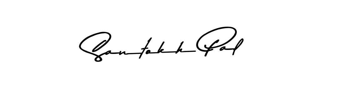 You should practise on your own different ways (Asem Kandis PERSONAL USE) to write your name (Santokh Pal) in signature. don't let someone else do it for you. Santokh Pal signature style 9 images and pictures png