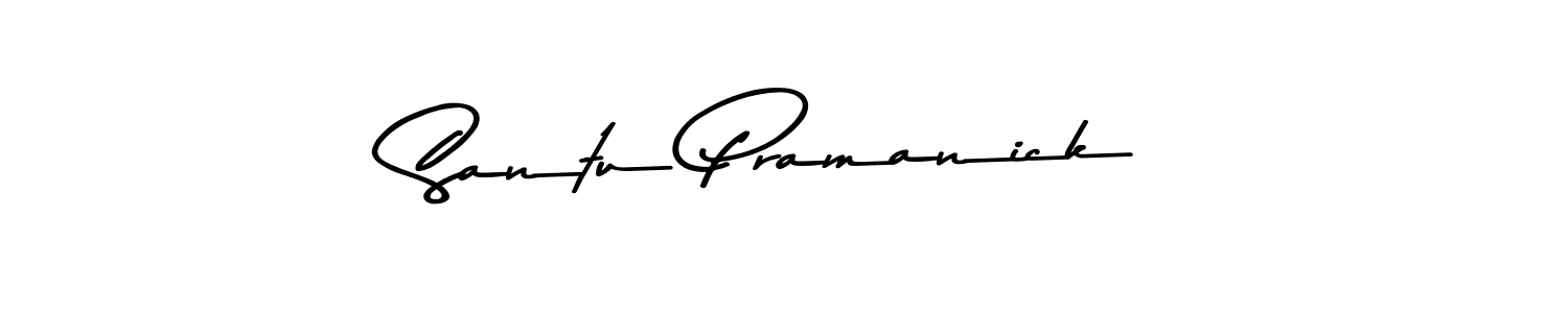 Make a beautiful signature design for name Santu Pramanick. Use this online signature maker to create a handwritten signature for free. Santu Pramanick signature style 9 images and pictures png
