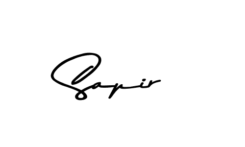 Make a beautiful signature design for name Sapir. Use this online signature maker to create a handwritten signature for free. Sapir signature style 9 images and pictures png