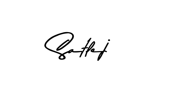 You should practise on your own different ways (Asem Kandis PERSONAL USE) to write your name (Satlej) in signature. don't let someone else do it for you. Satlej signature style 9 images and pictures png