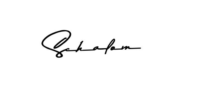 You should practise on your own different ways (Asem Kandis PERSONAL USE) to write your name (Schalom) in signature. don't let someone else do it for you. Schalom signature style 9 images and pictures png