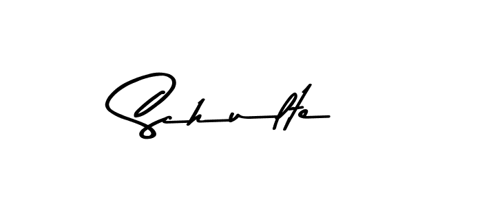 Make a beautiful signature design for name Schulte. Use this online signature maker to create a handwritten signature for free. Schulte signature style 9 images and pictures png