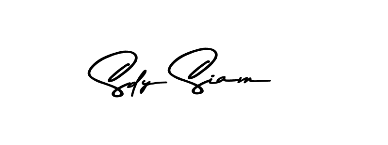 You should practise on your own different ways (Asem Kandis PERSONAL USE) to write your name (Sdy Siam) in signature. don't let someone else do it for you. Sdy Siam signature style 9 images and pictures png