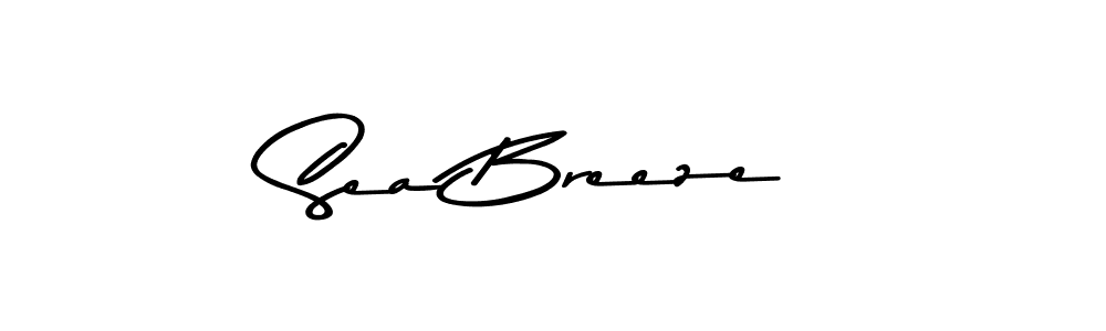 Asem Kandis PERSONAL USE is a professional signature style that is perfect for those who want to add a touch of class to their signature. It is also a great choice for those who want to make their signature more unique. Get Sea Breeze name to fancy signature for free. Sea Breeze signature style 9 images and pictures png