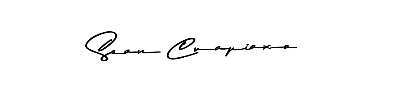 Similarly Asem Kandis PERSONAL USE is the best handwritten signature design. Signature creator online .You can use it as an online autograph creator for name Sean Cuapiaxo. Sean Cuapiaxo signature style 9 images and pictures png