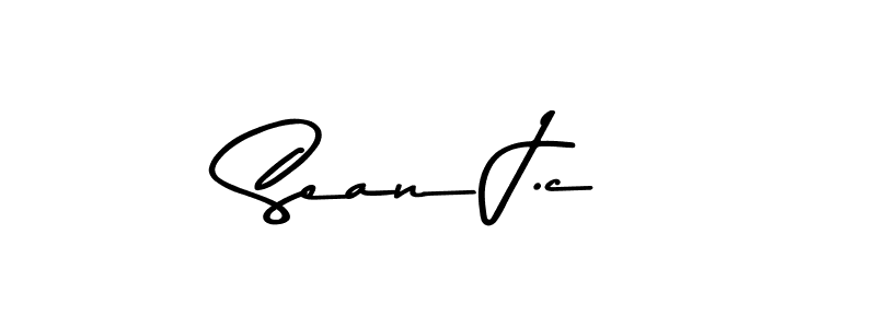 You should practise on your own different ways (Asem Kandis PERSONAL USE) to write your name (Sean J.c) in signature. don't let someone else do it for you. Sean J.c signature style 9 images and pictures png