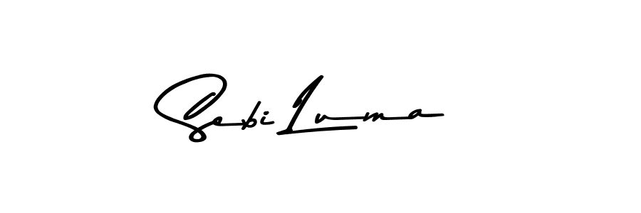 Here are the top 10 professional signature styles for the name Sebi Luma. These are the best autograph styles you can use for your name. Sebi Luma signature style 9 images and pictures png
