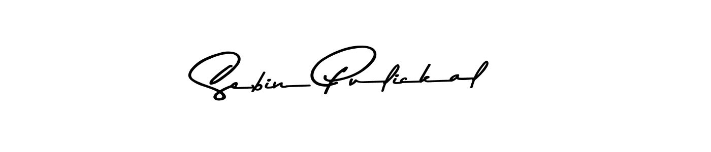 Sebin Pulickal stylish signature style. Best Handwritten Sign (Asem Kandis PERSONAL USE) for my name. Handwritten Signature Collection Ideas for my name Sebin Pulickal. Sebin Pulickal signature style 9 images and pictures png