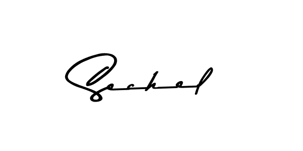 Design your own signature with our free online signature maker. With this signature software, you can create a handwritten (Asem Kandis PERSONAL USE) signature for name Sechel. Sechel signature style 9 images and pictures png