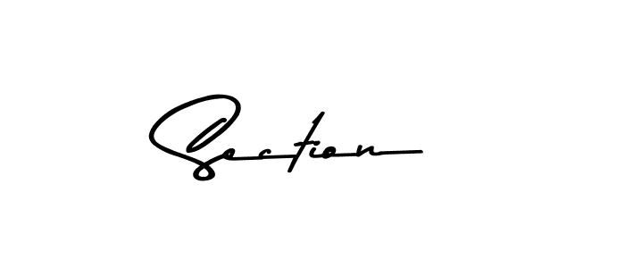 How to make Section name signature. Use Asem Kandis PERSONAL USE style for creating short signs online. This is the latest handwritten sign. Section signature style 9 images and pictures png