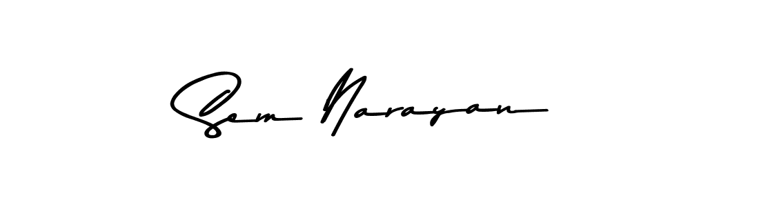You should practise on your own different ways (Asem Kandis PERSONAL USE) to write your name (Sem Narayan) in signature. don't let someone else do it for you. Sem Narayan signature style 9 images and pictures png