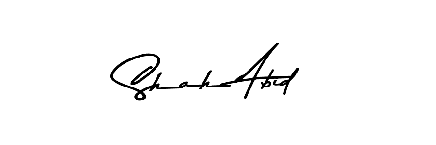 Similarly Asem Kandis PERSONAL USE is the best handwritten signature design. Signature creator online .You can use it as an online autograph creator for name Shah Abid. Shah Abid signature style 9 images and pictures png