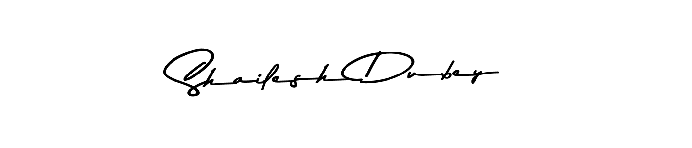 See photos of Shailesh Dubey official signature by Spectra . Check more albums & portfolios. Read reviews & check more about Asem Kandis PERSONAL USE font. Shailesh Dubey signature style 9 images and pictures png