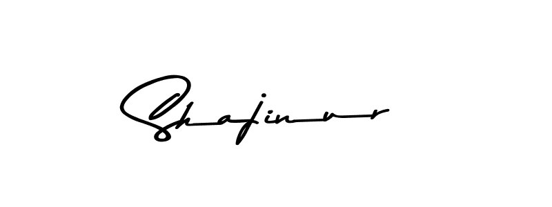 Here are the top 10 professional signature styles for the name Shajinur. These are the best autograph styles you can use for your name. Shajinur signature style 9 images and pictures png