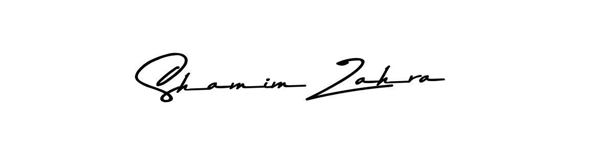 You should practise on your own different ways (Asem Kandis PERSONAL USE) to write your name (Shamim Zahra) in signature. don't let someone else do it for you. Shamim Zahra signature style 9 images and pictures png