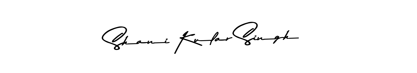 You should practise on your own different ways (Asem Kandis PERSONAL USE) to write your name (Shani Kular Singh) in signature. don't let someone else do it for you. Shani Kular Singh signature style 9 images and pictures png