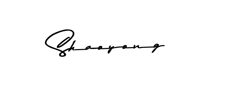 Shaoyong stylish signature style. Best Handwritten Sign (Asem Kandis PERSONAL USE) for my name. Handwritten Signature Collection Ideas for my name Shaoyong. Shaoyong signature style 9 images and pictures png