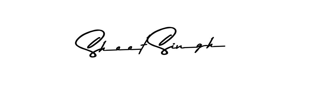 You should practise on your own different ways (Asem Kandis PERSONAL USE) to write your name (Sheet Singh) in signature. don't let someone else do it for you. Sheet Singh signature style 9 images and pictures png