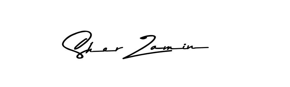 Here are the top 10 professional signature styles for the name Sher Zamin. These are the best autograph styles you can use for your name. Sher Zamin signature style 9 images and pictures png