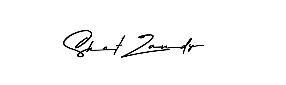 Make a beautiful signature design for name Shet Zandy. Use this online signature maker to create a handwritten signature for free. Shet Zandy signature style 9 images and pictures png