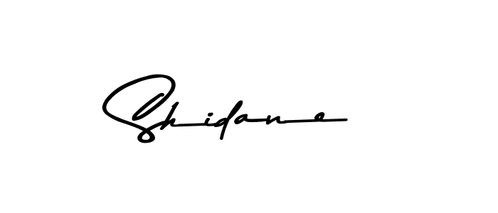 Here are the top 10 professional signature styles for the name Shidane. These are the best autograph styles you can use for your name. Shidane signature style 9 images and pictures png