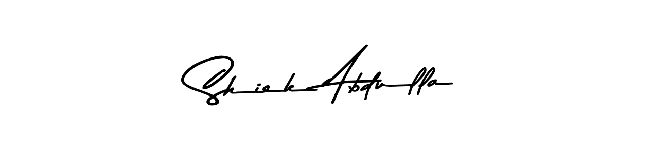 Make a beautiful signature design for name Shiek Abdulla. Use this online signature maker to create a handwritten signature for free. Shiek Abdulla signature style 9 images and pictures png