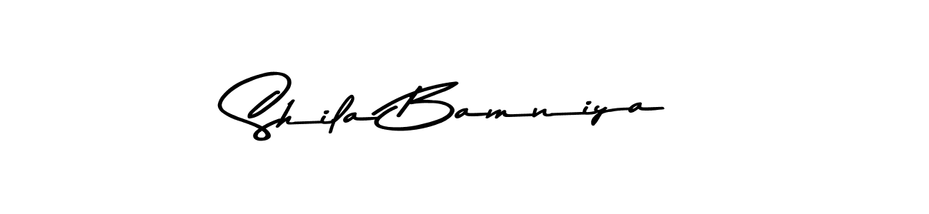 Here are the top 10 professional signature styles for the name Shila Bamniya. These are the best autograph styles you can use for your name. Shila Bamniya signature style 9 images and pictures png