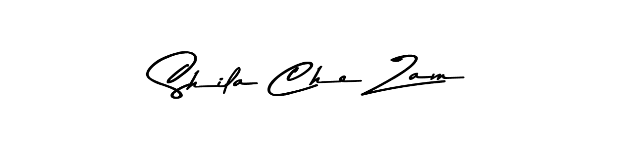 Similarly Asem Kandis PERSONAL USE is the best handwritten signature design. Signature creator online .You can use it as an online autograph creator for name Shila Che Zam. Shila Che Zam signature style 9 images and pictures png