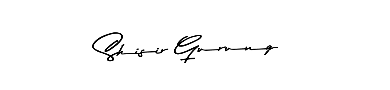 Here are the top 10 professional signature styles for the name Shisir Gurung. These are the best autograph styles you can use for your name. Shisir Gurung signature style 9 images and pictures png