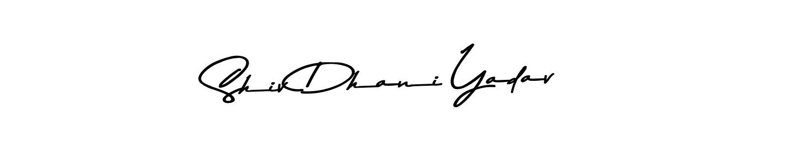 Here are the top 10 professional signature styles for the name Shiv Dhani Yadav. These are the best autograph styles you can use for your name. Shiv Dhani Yadav signature style 9 images and pictures png