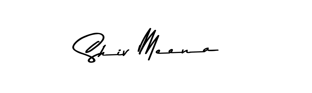 Make a beautiful signature design for name Shiv Meena. Use this online signature maker to create a handwritten signature for free. Shiv Meena signature style 9 images and pictures png