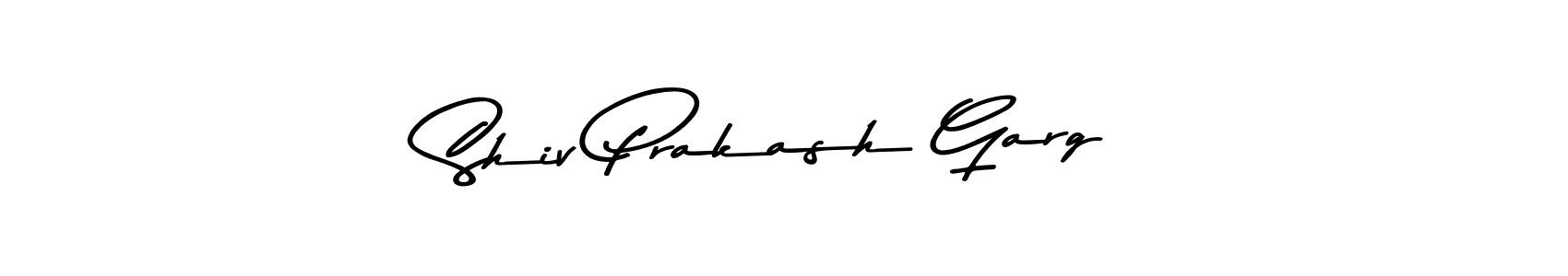 Shiv Prakash Garg stylish signature style. Best Handwritten Sign (Asem Kandis PERSONAL USE) for my name. Handwritten Signature Collection Ideas for my name Shiv Prakash Garg. Shiv Prakash Garg signature style 9 images and pictures png