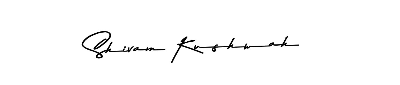 Similarly Asem Kandis PERSONAL USE is the best handwritten signature design. Signature creator online .You can use it as an online autograph creator for name Shivam Kushwah. Shivam Kushwah signature style 9 images and pictures png