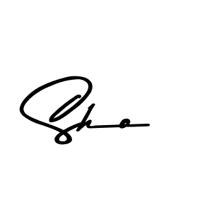 This is the best signature style for the Sho name. Also you like these signature font (Asem Kandis PERSONAL USE). Mix name signature. Sho signature style 9 images and pictures png