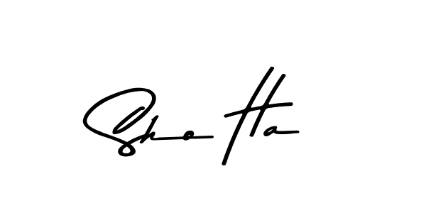 You should practise on your own different ways (Asem Kandis PERSONAL USE) to write your name (Sho Ha) in signature. don't let someone else do it for you. Sho Ha signature style 9 images and pictures png