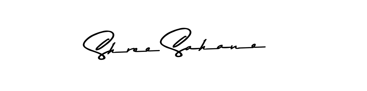 You should practise on your own different ways (Asem Kandis PERSONAL USE) to write your name (Shree Sahane) in signature. don't let someone else do it for you. Shree Sahane signature style 9 images and pictures png