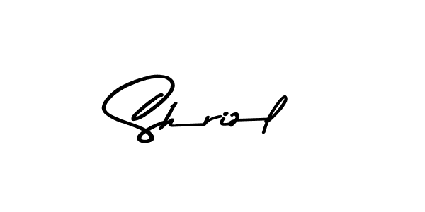 You can use this online signature creator to create a handwritten signature for the name Shrizl. This is the best online autograph maker. Shrizl signature style 9 images and pictures png