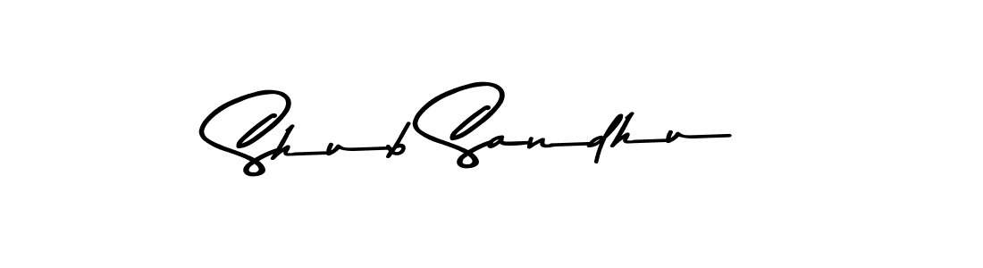 Make a short Shub Sandhu signature style. Manage your documents anywhere anytime using Asem Kandis PERSONAL USE. Create and add eSignatures, submit forms, share and send files easily. Shub Sandhu signature style 9 images and pictures png