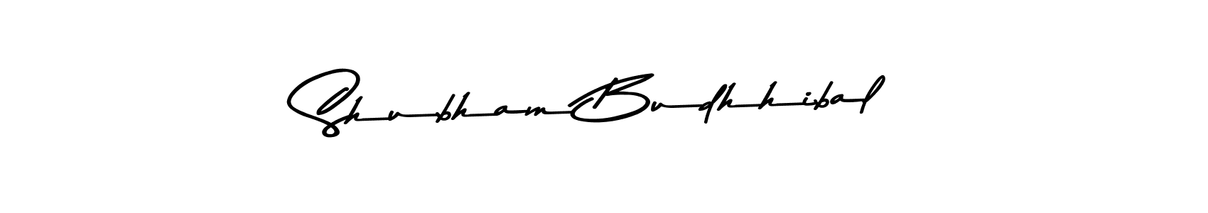 Make a beautiful signature design for name Shubham Budhhibal. Use this online signature maker to create a handwritten signature for free. Shubham Budhhibal signature style 9 images and pictures png
