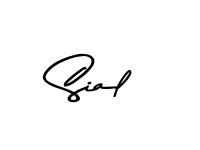 Create a beautiful signature design for name Sial. With this signature (Asem Kandis PERSONAL USE) fonts, you can make a handwritten signature for free. Sial signature style 9 images and pictures png