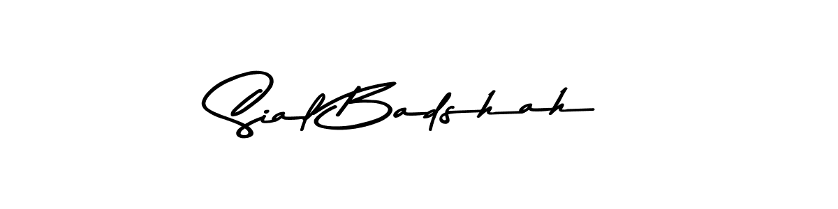How to Draw Sial Badshah signature style? Asem Kandis PERSONAL USE is a latest design signature styles for name Sial Badshah. Sial Badshah signature style 9 images and pictures png