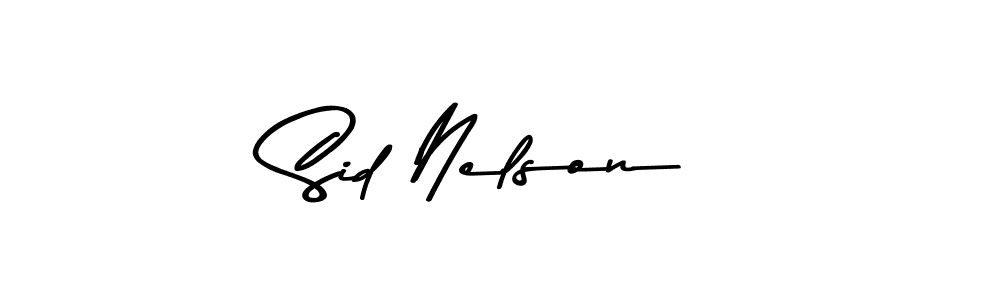 The best way (Asem Kandis PERSONAL USE) to make a short signature is to pick only two or three words in your name. The name Sid Nelson include a total of six letters. For converting this name. Sid Nelson signature style 9 images and pictures png