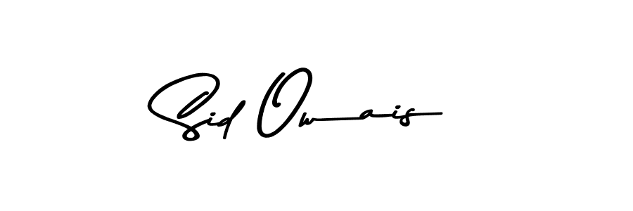 You should practise on your own different ways (Asem Kandis PERSONAL USE) to write your name (Sid Owais) in signature. don't let someone else do it for you. Sid Owais signature style 9 images and pictures png