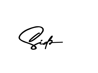 Make a beautiful signature design for name Sidz. Use this online signature maker to create a handwritten signature for free. Sidz signature style 9 images and pictures png