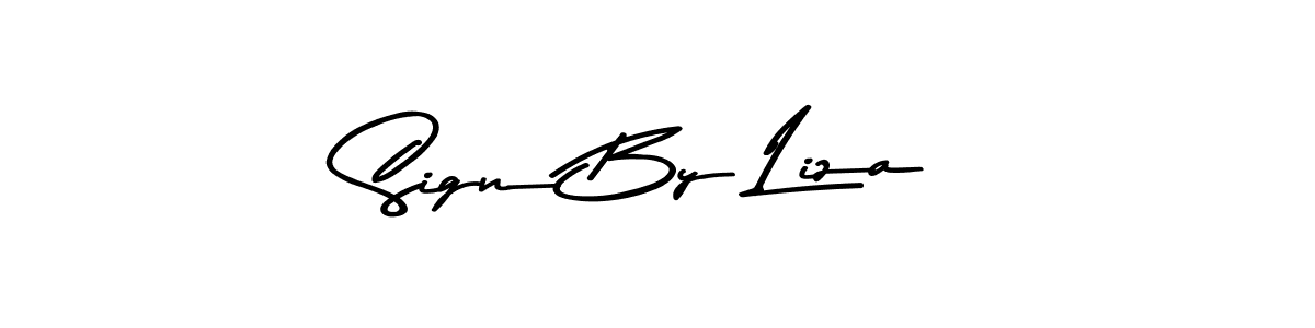 You should practise on your own different ways (Asem Kandis PERSONAL USE) to write your name (Sign By Liza) in signature. don't let someone else do it for you. Sign By Liza signature style 9 images and pictures png