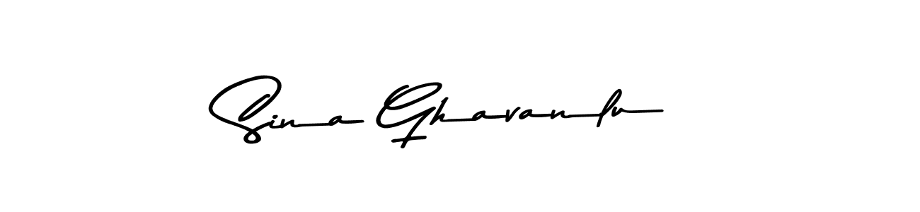 Make a beautiful signature design for name Sina Ghavanlu. Use this online signature maker to create a handwritten signature for free. Sina Ghavanlu signature style 9 images and pictures png