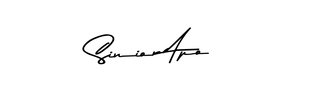 You should practise on your own different ways (Asem Kandis PERSONAL USE) to write your name (Sinior Apo) in signature. don't let someone else do it for you. Sinior Apo signature style 9 images and pictures png