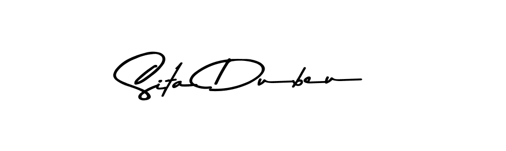 The best way (Asem Kandis PERSONAL USE) to make a short signature is to pick only two or three words in your name. The name Sita Dubeu include a total of six letters. For converting this name. Sita Dubeu signature style 9 images and pictures png