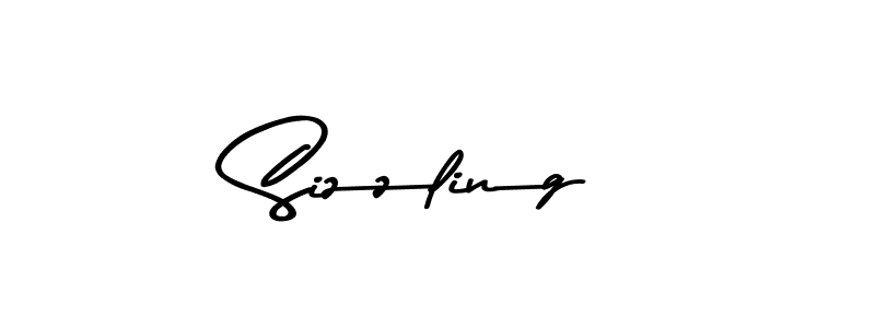 Make a beautiful signature design for name Sizzling. Use this online signature maker to create a handwritten signature for free. Sizzling signature style 9 images and pictures png