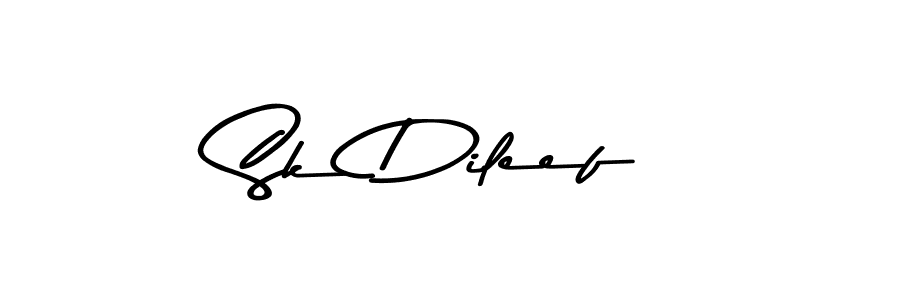 Best and Professional Signature Style for Sk Dileef. Asem Kandis PERSONAL USE Best Signature Style Collection. Sk Dileef signature style 9 images and pictures png